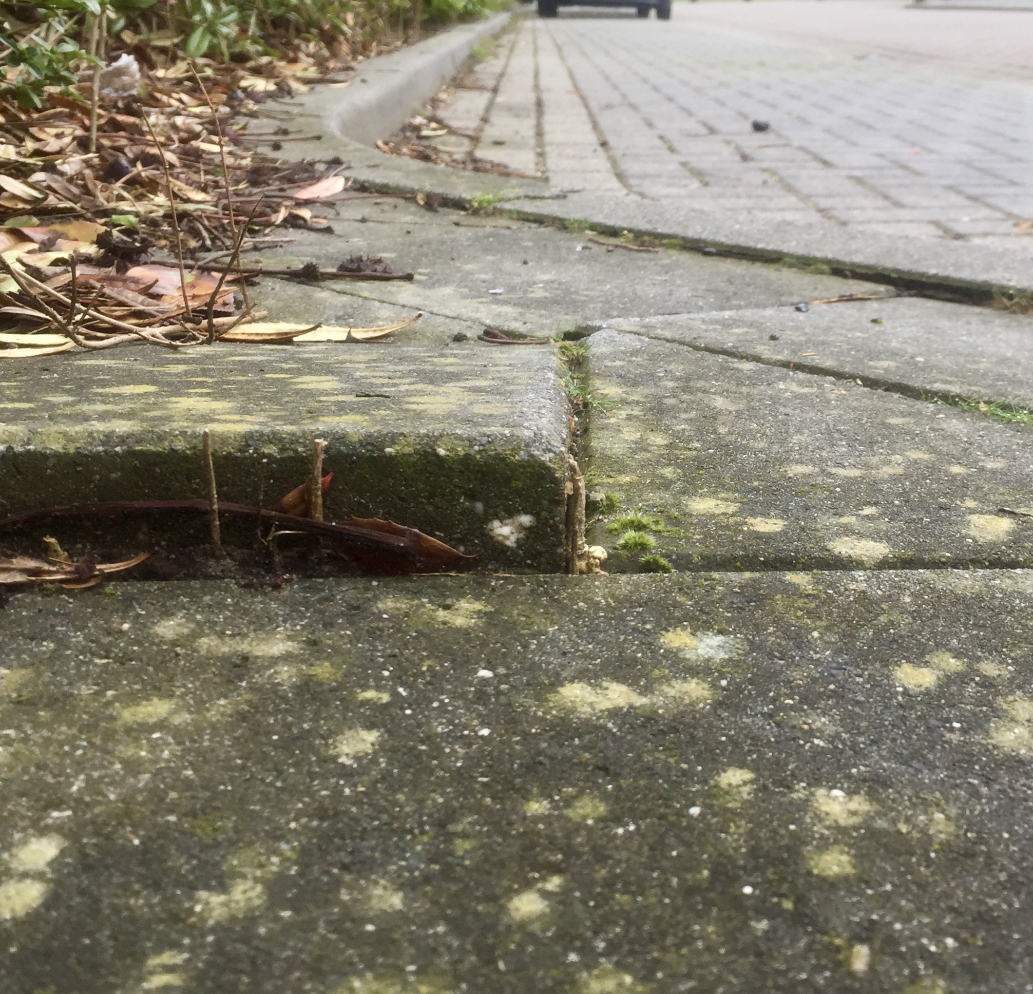Struikelen over een stoeptegel
